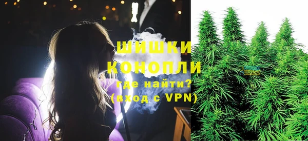 мдпв Новодвинск
