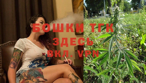 мдпв Новодвинск