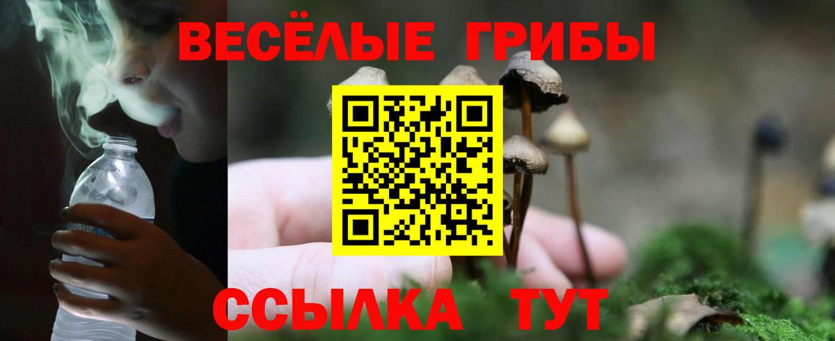 Аксай  Галлюциногенные грибы MAGIC MUSHROOMS  Псилоцибиновые грибы мухоморы  Вход с VPN 